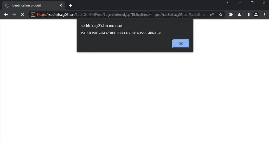 Payload injecté via le paramètre de redirection de la page de login.